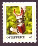 Österreich  2013  1 Wert  **  Hirschkäfer