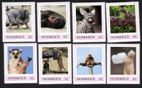 Österreich  2013  8 Werte  **  Gefährdete Tierarten
