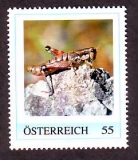 Österreich  2008  1 Wert  **  Heuschrecke