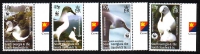 Südgeorgien  2003  4 Werte  **  Graukopfalbatross  WWF