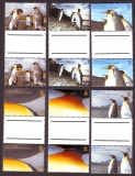 Südgeorgien  2005  12 Werte  **  6 ZRST  Königspinguine