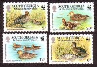 Südgeorgien  1992  4 Werte  **  Spießenten  WWF