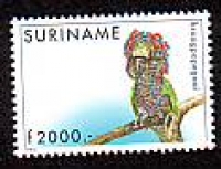 Surinam  1996  1 Wert  **  Fächerpapagei