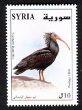 Syrien  2004  1 Wert  **  Waldrapp