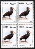 Syrien  2004  4 Werte  **  ZD  Waldrapp