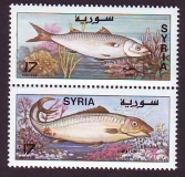 Syrien  1996  2 Werte  **  ZD  Flußfische