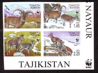 Tadschikistan  2005  4 Werte  **  ZD  B  Blauschaf  WWF