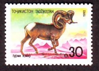 Tadschikistan  1992  1 Wert  **  Wildschaf  (Argali)