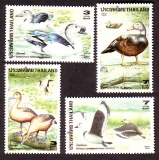 Thailand  1996  4 Werte  **  Gänsevögel