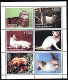 Turkmenistan  1998  6 Werte  **  KLB  Katzen