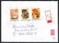 Ungarn  1995  1 Einschreibebrief mit Pilzfrankatur  (04)