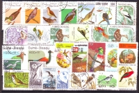 Vögel  Nr. 12  30 Werte  gestempelt  alle Welt