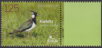 Österreich  2026  1 Wert  **  Kiebitz