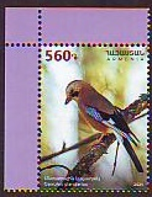 Armenien  2024  1 Wert  **  Vogel