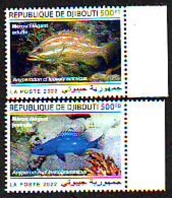 Dschibuti  2022  2 Werte  **  Fische