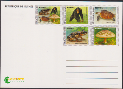 Guinea  2025  5 Werte auf  1 Maxikarte  Afrikanische Fauna / Pilz