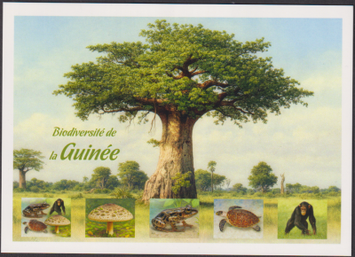 Guinea  2025  5 Werte auf  1 Maxikarte  Afrikanische Fauna / Pilz