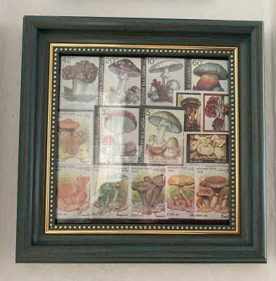 Bild mit Pilzbriefmarken ** / komplette Ausgaben