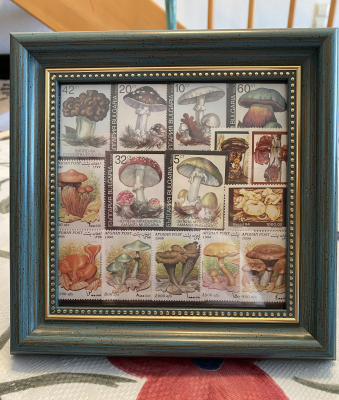 Bild mit Pilzbriefmarken ** / komplette Ausgaben
