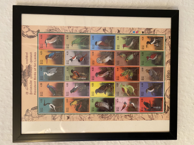 Bild mit Vögel aus Sri Lanke KLB **