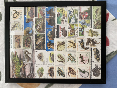 Bild mit Reptilienbriefmarken ** / komplette Ausgaben