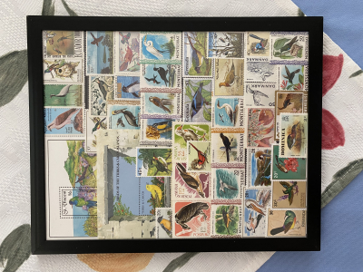 Bild mit Vogelbriefmarken ** / komplette Ausgaben