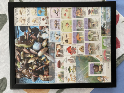Bild mit Pilzbriefmarken ** / komplette Ausgaben + eigenes Foto