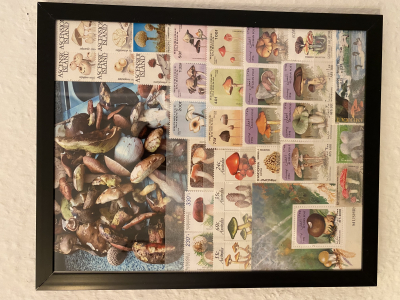 Bild mit Pilzbriefmarken ** / komplette Ausgaben + eigenes Foto