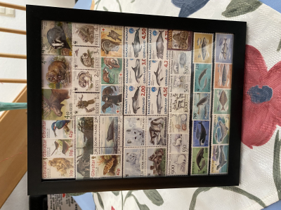 Bild mit Tierbriefmarken ** / Säugetiere - komplette Ausgaben