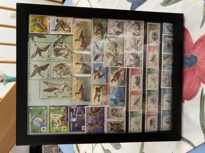Bild mit Vogelbriefmarken ** / komplette Ausgaben