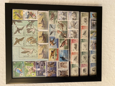 Bild mit Vogelbriefmarken ** / komplette Ausgaben