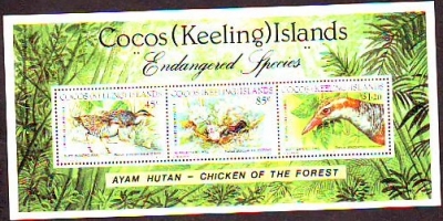 Kokos - Inseln  1992  1 Block  **  Binderalle