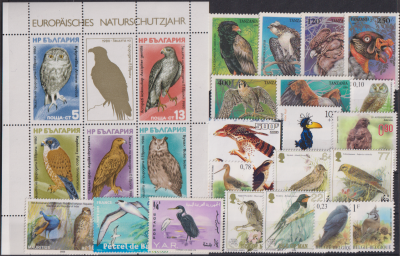 11 N / 25 Vögel