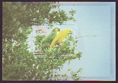 Paraguay  2015  1 Block  **  Blaustirnamazone