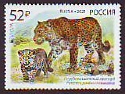 Rußland  2021  1 Wert  **  Persischer Leopard - Europa