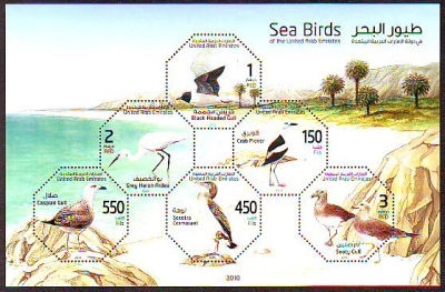 Vereinigte Arabische Emirate  2010  1 Block  **  Seevögel