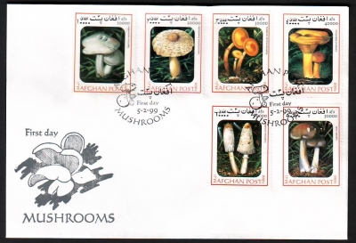 Afghanistan  1999  1 Brief mit 6 Werten  Pilze