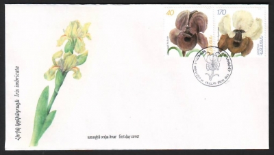 Armenien  1997  2 Werte auf 1 FDC  Schwertlilien