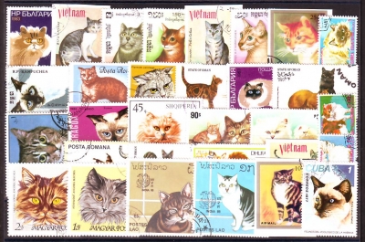 Hauskatzen  Nr. 01  30 Werte  gestempelt  alle Welt