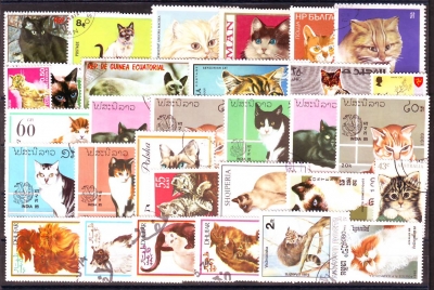 Hauskatzen  Nr. 06  30 Werte  gestempelt  alle Welt