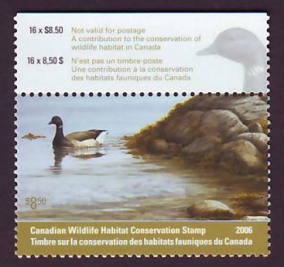 Kanada  2006  1 Wert  **  Wildente - Duke Stamps