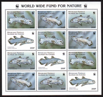Komoren  1998  12 Werte  **  KLB  A  Komoren - Quastenflosser  WWF
