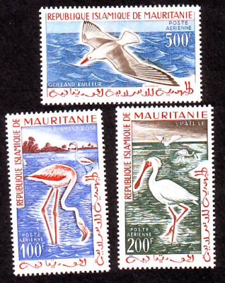 Mauretanien  1961  3 Werte  **  Heimische Vögel