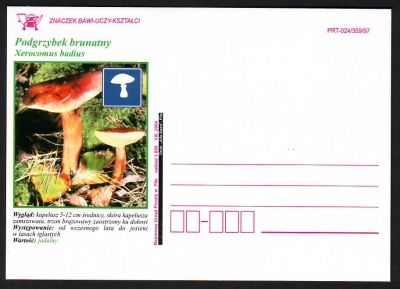 Polen  1997  1 Postkarte  Pilze als Zudruck  ungebraucht