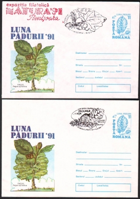 Rumänien  1991  2 Ganzsache mit Pilzsonderstempel