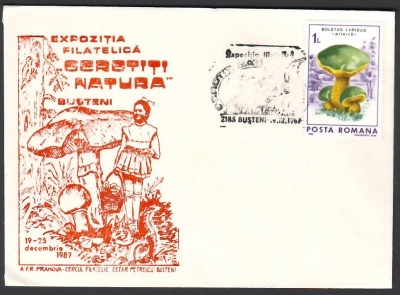 Rumänien  1986  1 Brief mit Pilzstempel