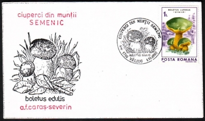 Rumänien  1992  1 Brief mit Pilzsonderstempel