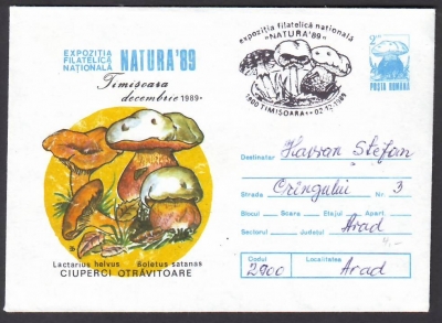 Rumänien  1989  1 Brief mit Pilzsonderstempel