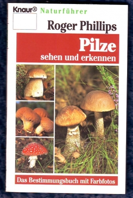 Pilze sehen und erkennen