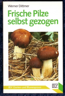 Frische Pilze selbst gezogen